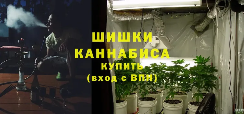 kraken зеркало  Макарьев  Шишки марихуана Bruce Banner 